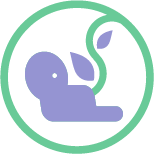 Embryo Logo