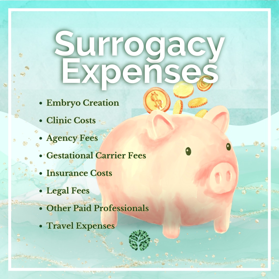 Top: "Surrogacy Expenses" Body: watercolor piggy bank and gold coins. layered behind list of expenses. "Embryo Creation, Clinic Costs, Agency fees, gestational carrier fees, Insurance costs, legal fees, Other Paid Professionals, Other paid professionals, Travel Expenses" Bottom: FCS logo