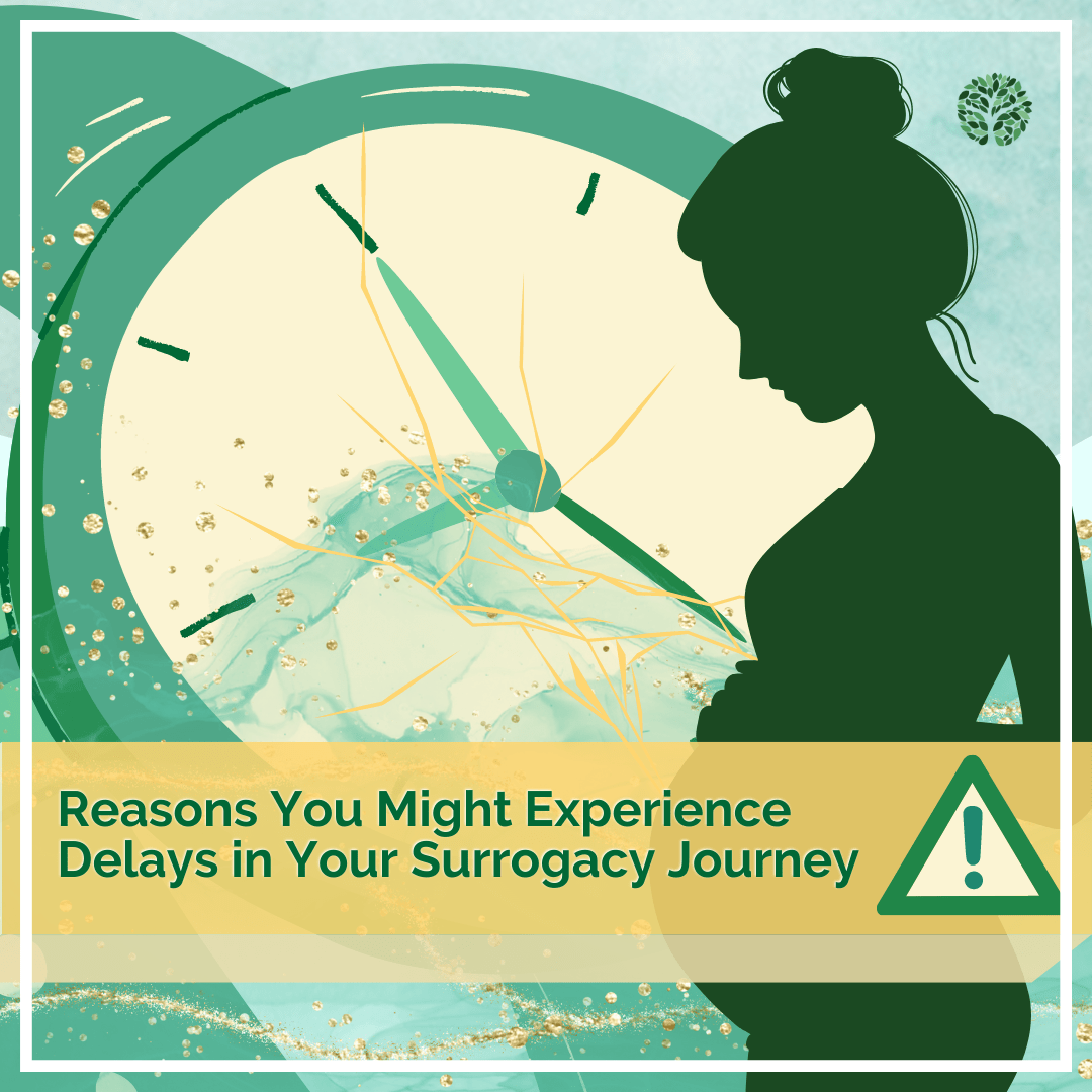 Blog title image:Silhouette of pregnant woman standing in front of a broken watch behind the title as a warning sign that says "Reasons You Might Experience Delays in Your Surrogacy Journey"