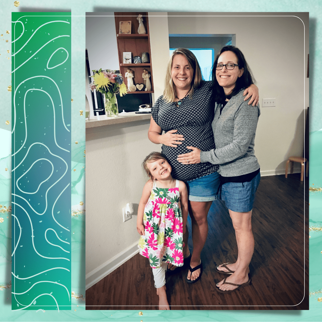 second surrogacy journey, pregnant with twins, visit with twins' mother and big sister